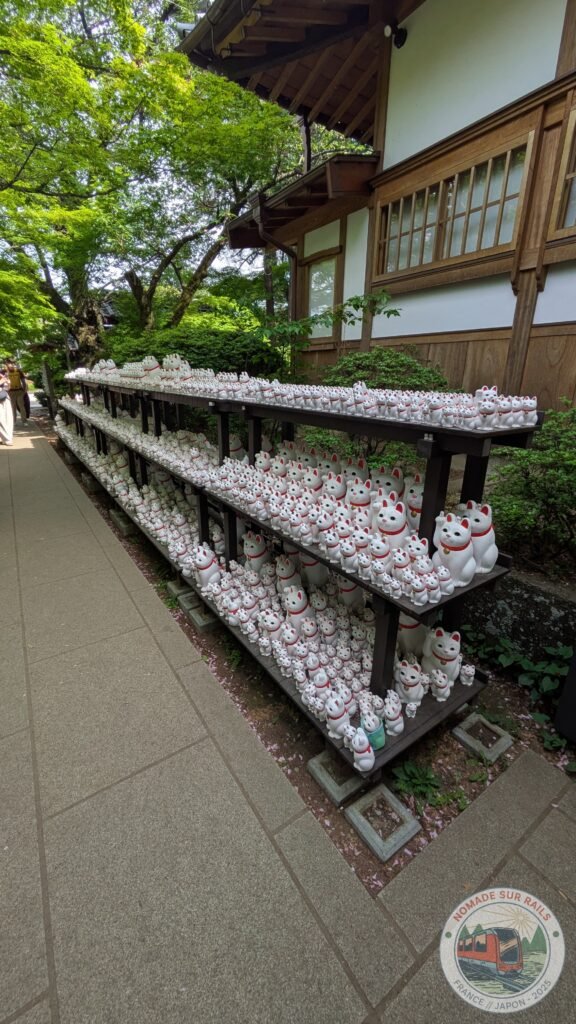 Des centaines de maneki-neko alignés au temple Gotokuji