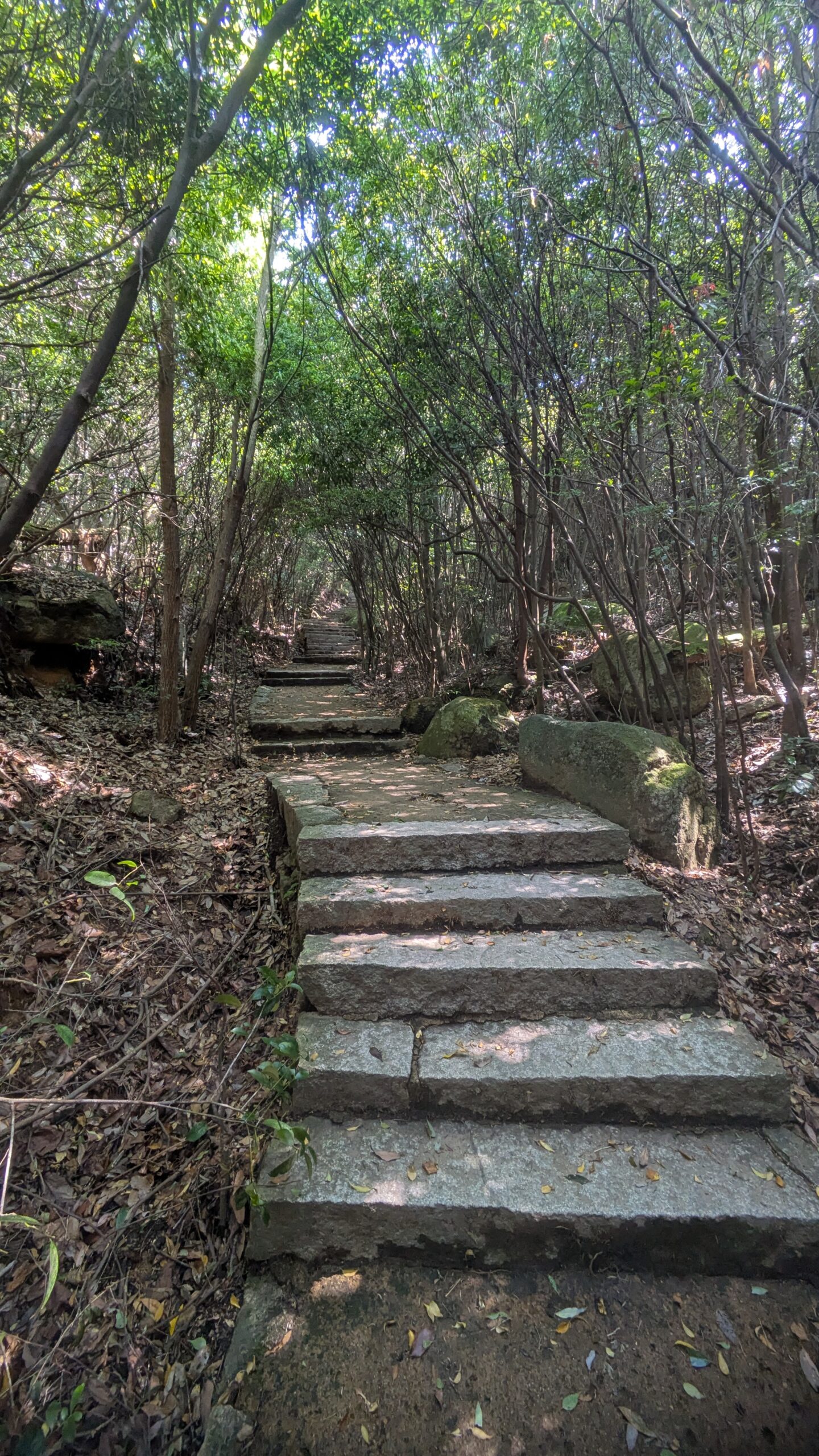 Début du sentier Daishō-in