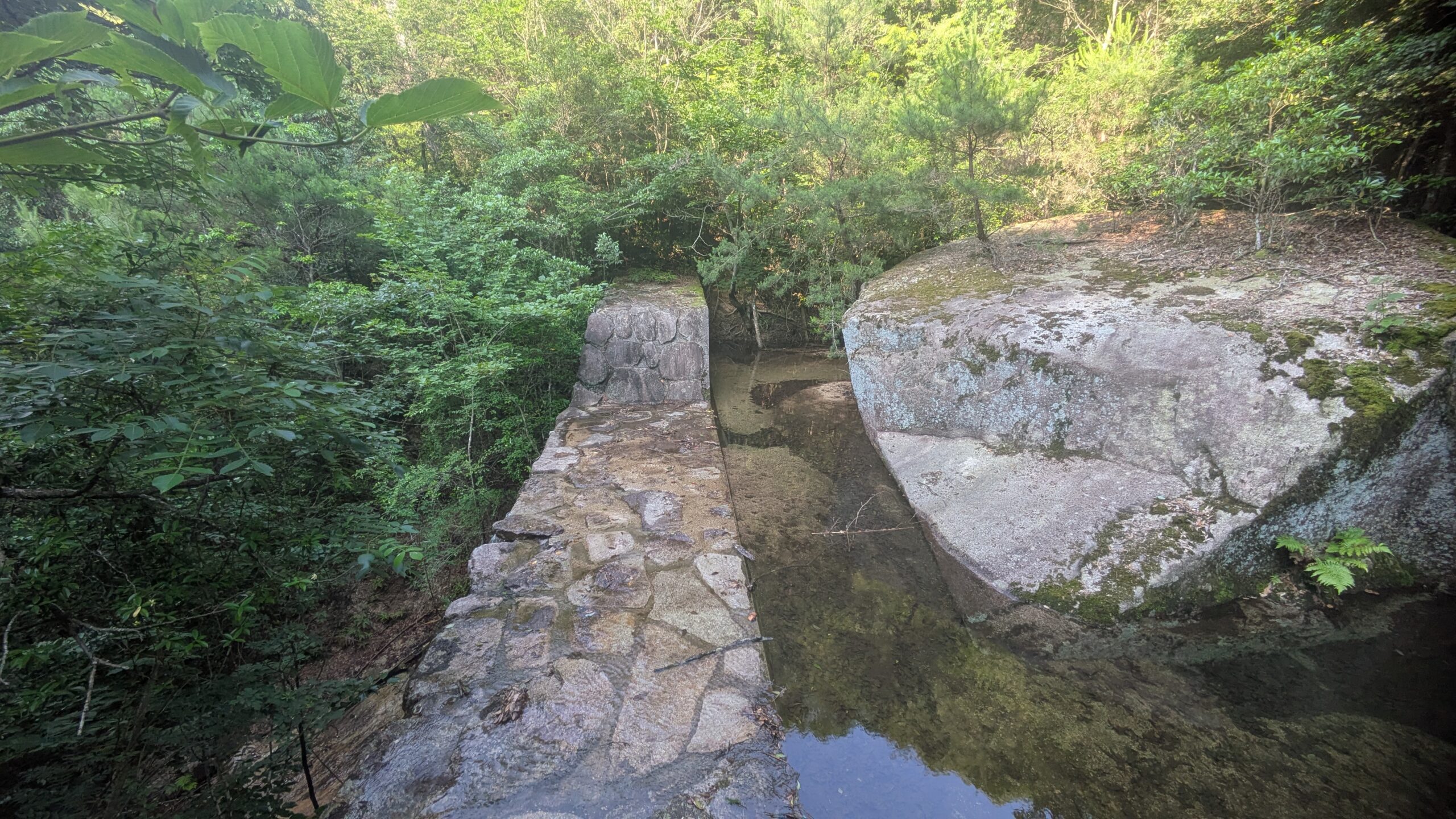Escaliers au cœur de la forêt de Miyajima
