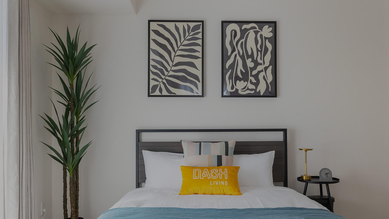 view from a room in dash living