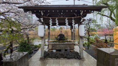 10 lieux à découvrir au Japon_Sakura