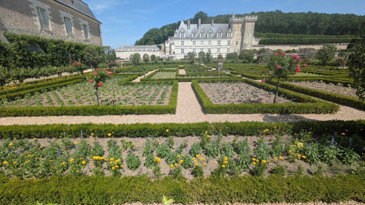 Rosiers et carrés de légumes du potager de Villandry, château en arrière-plan