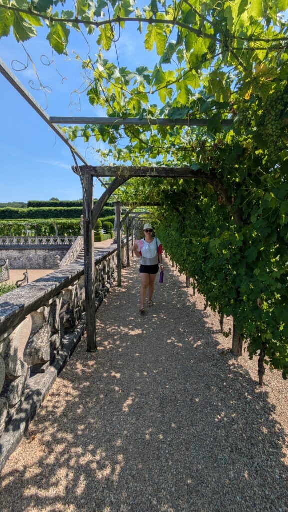 Promenade sous la pergola de vigne des jardins de Villandry